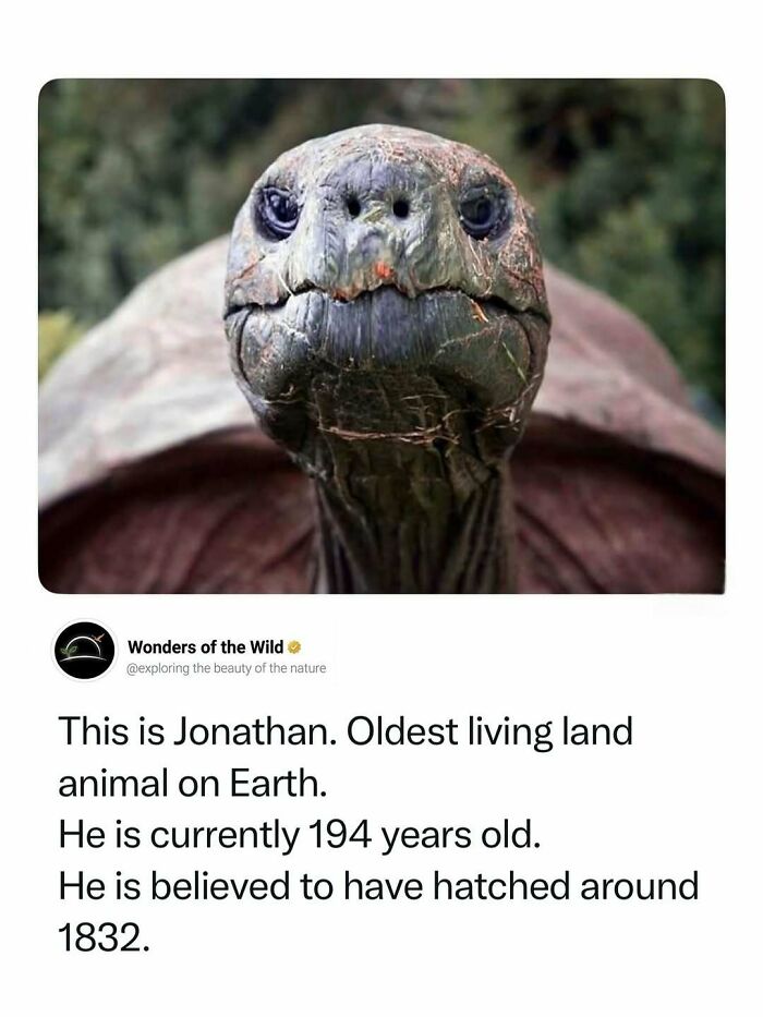 44 Fun And Interesting Facts That Might Delight Animal Lovers 44 Fun And Interesting Facts That Might Delight Animal Lovers