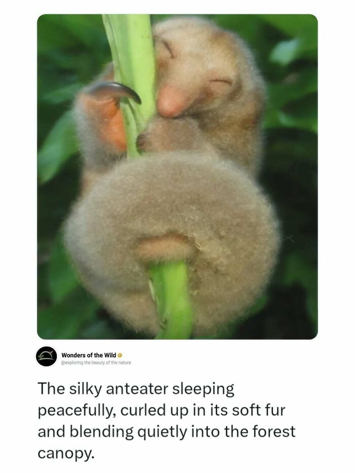 44 Fun And Interesting Facts That Might Delight Animal Lovers 44 Fun And Interesting Facts That Might Delight Animal Lovers