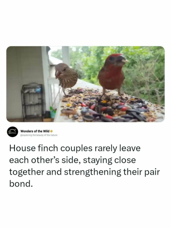 44 Fun And Interesting Facts That Might Delight Animal Lovers 44 Fun And Interesting Facts That Might Delight Animal Lovers