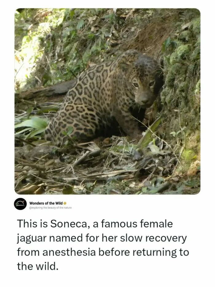 44 Fun And Interesting Facts That Might Delight Animal Lovers 44 Fun And Interesting Facts That Might Delight Animal Lovers