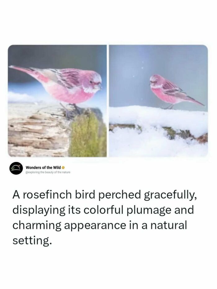 44 Fun And Interesting Facts That Might Delight Animal Lovers 44 Fun And Interesting Facts That Might Delight Animal Lovers