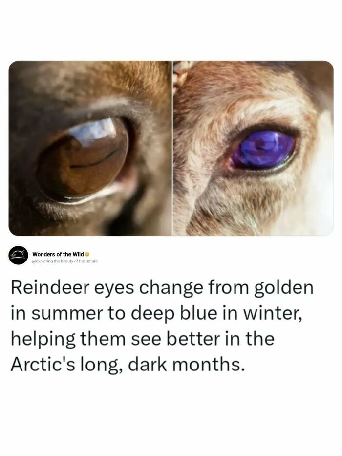 44 Fun And Interesting Facts That Might Delight Animal Lovers 44 Fun And Interesting Facts That Might Delight Animal Lovers