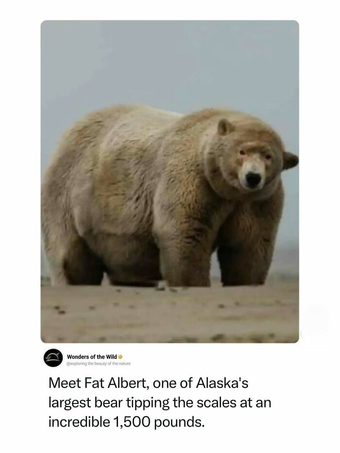 44 Fun And Interesting Facts That Might Delight Animal Lovers 44 Fun And Interesting Facts That Might Delight Animal Lovers