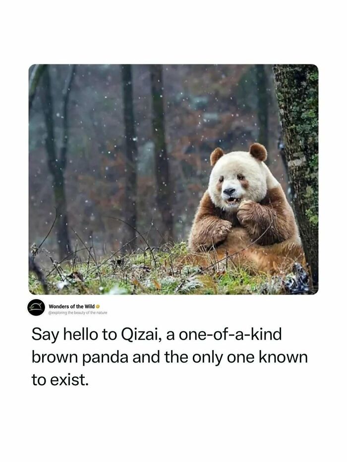 44 Fun And Interesting Facts That Might Delight Animal Lovers 44 Fun And Interesting Facts That Might Delight Animal Lovers