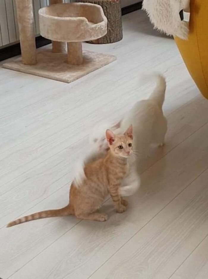 101 Hilarious Photos Taken Moments Before Disaster Struck