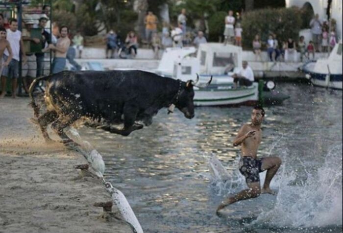 101 Hilarious Photos Taken Moments Before Disaster Struck