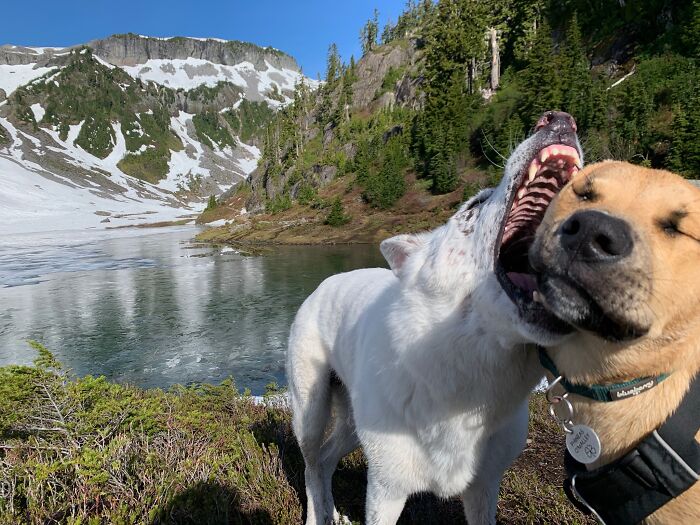 101 Hilarious Photos Taken Moments Before Disaster Struck