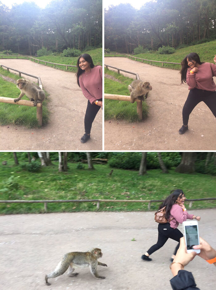 101 Hilarious Photos Taken Moments Before Disaster Struck