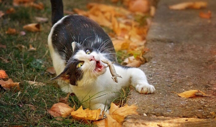 101 Hilarious Photos Taken Moments Before Disaster Struck