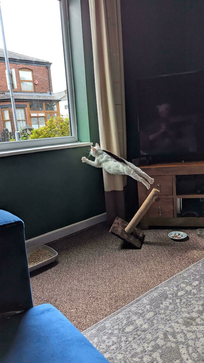 101 Hilarious Photos Taken Moments Before Disaster Struck