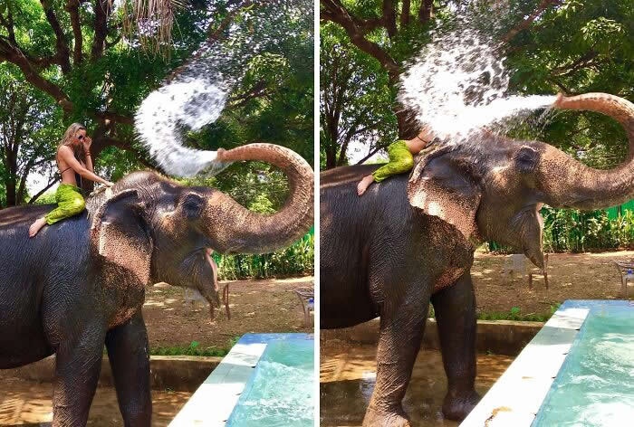 101 Hilarious Photos Taken Moments Before Disaster Struck