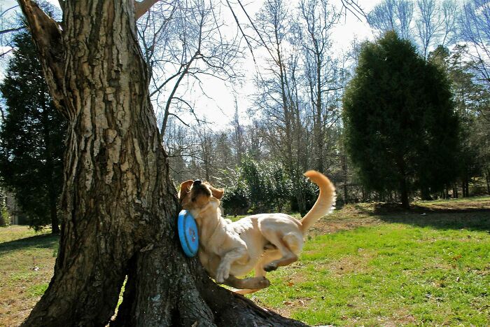 101 Hilarious Photos Taken Moments Before Disaster Struck