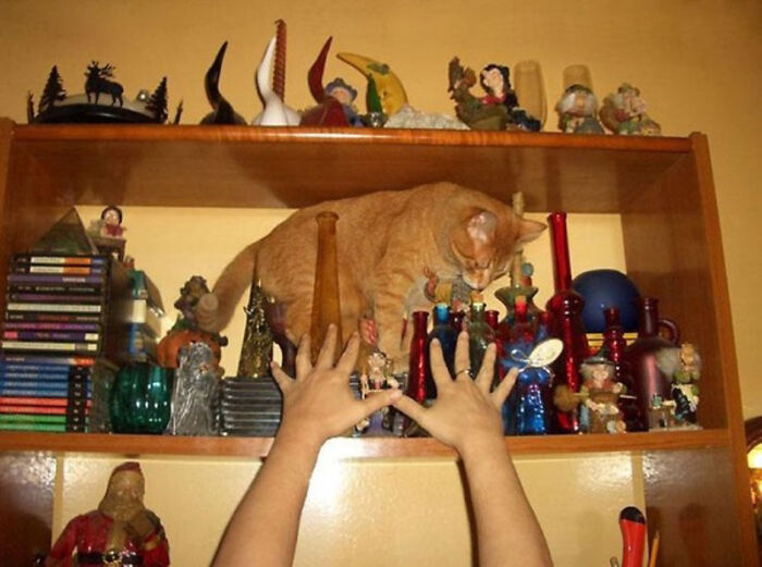 101 Hilarious Photos Taken Moments Before Disaster Struck