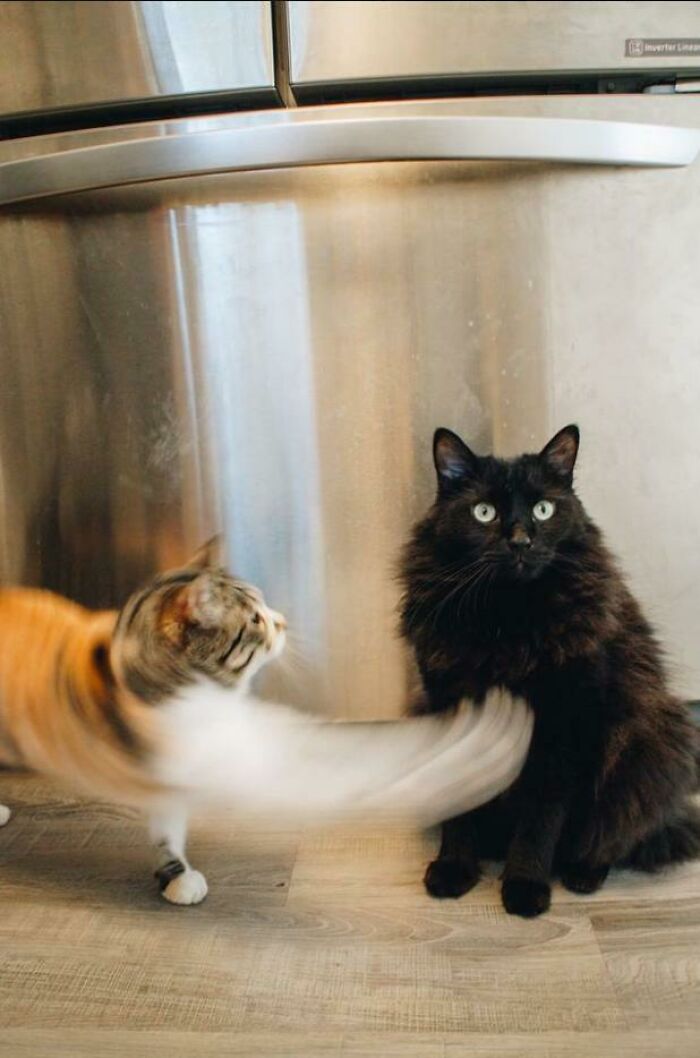101 Hilarious Photos Taken Moments Before Disaster Struck