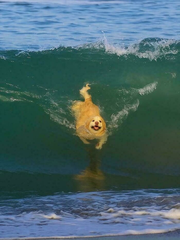 101 Hilarious Photos Taken Moments Before Disaster Struck