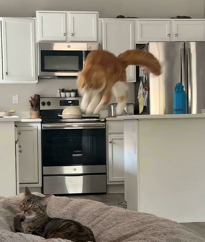 101 Hilarious Photos Taken Moments Before Disaster Struck