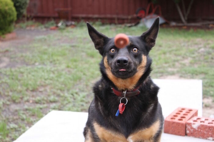 101 Hilarious Photos Taken Moments Before Disaster Struck