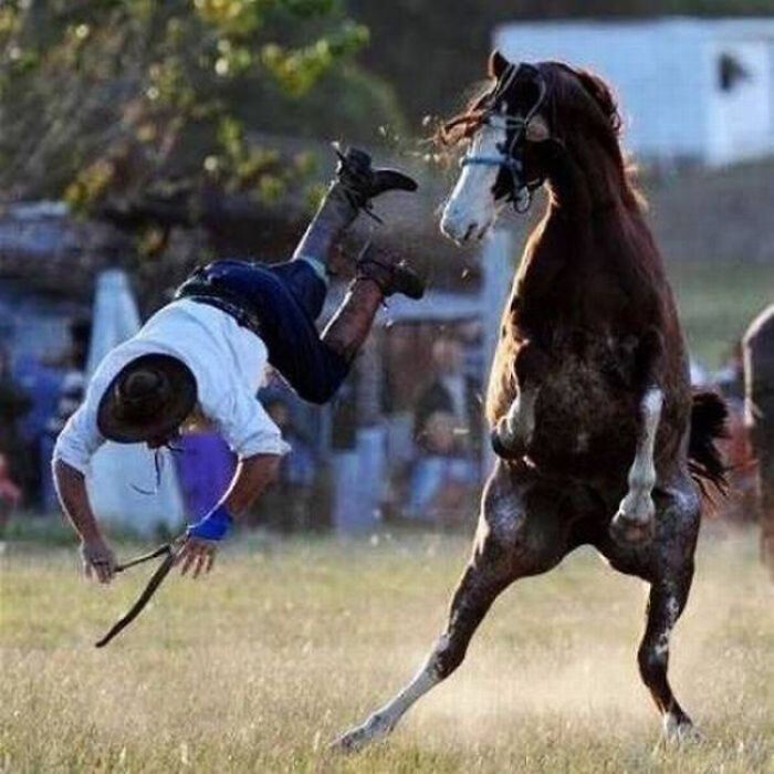 101 Hilarious Photos Taken Moments Before Disaster Struck