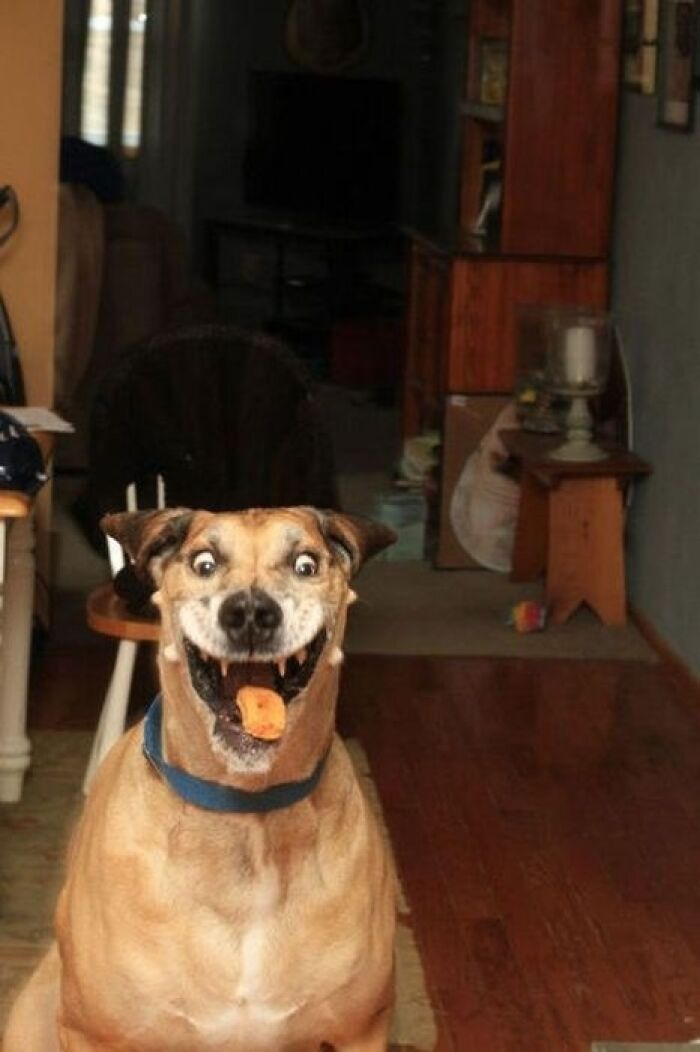 101 Hilarious Photos Taken Moments Before Disaster Struck