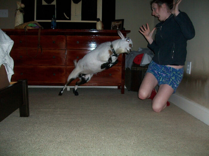 101 Hilarious Photos Taken Moments Before Disaster Struck