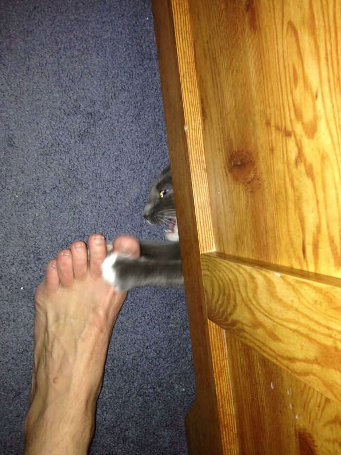 101 Hilarious Photos Taken Moments Before Disaster Struck
