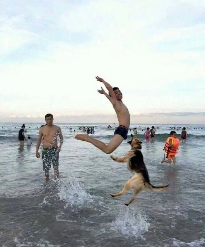 101 Hilarious Photos Taken Moments Before Disaster Struck