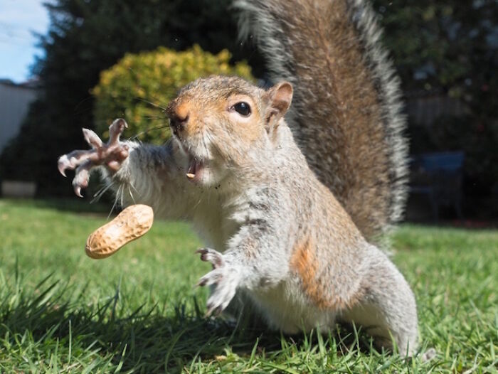 101 Hilarious Photos Taken Moments Before Disaster Struck
