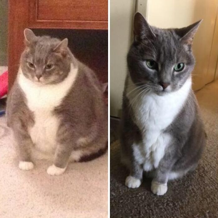 90 Mildly Interesting Before-And-After Photos That Show Just How Much Things Can Change