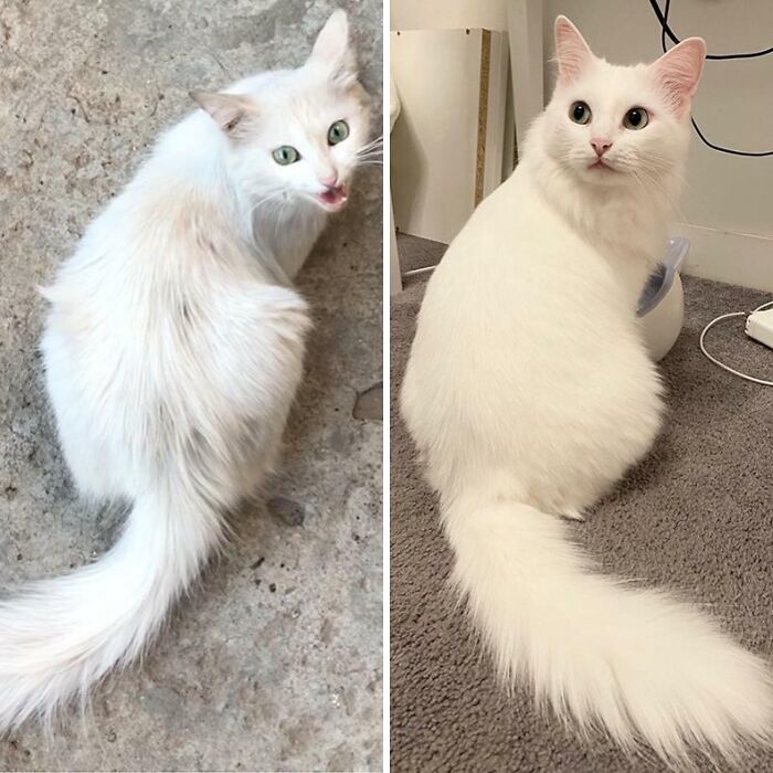 90 Mildly Interesting Before-And-After Photos That Show Just How Much Things Can Change
