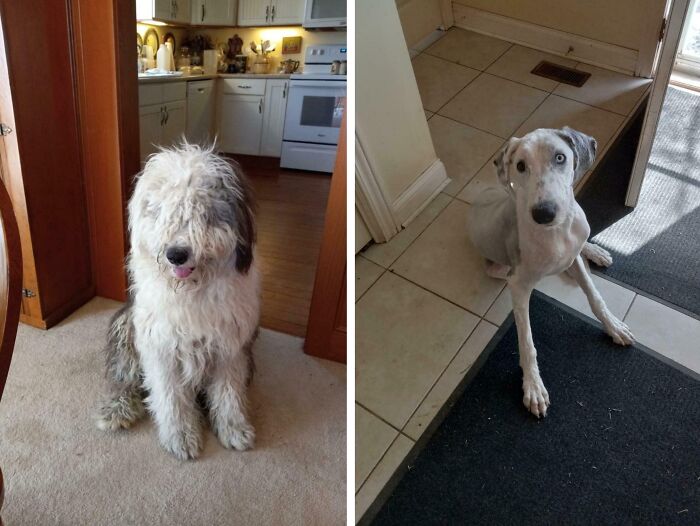 90 Mildly Interesting Before-And-After Photos That Show Just How Much Things Can Change