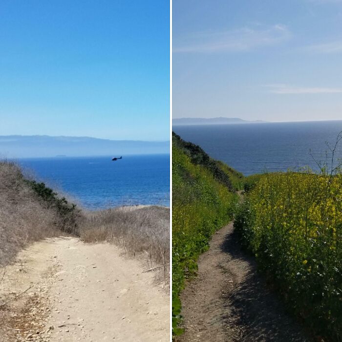 90 Mildly Interesting Before-And-After Photos That Show Just How Much Things Can Change