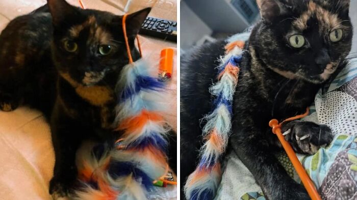 90 Mildly Interesting Before-And-After Photos That Show Just How Much Things Can Change