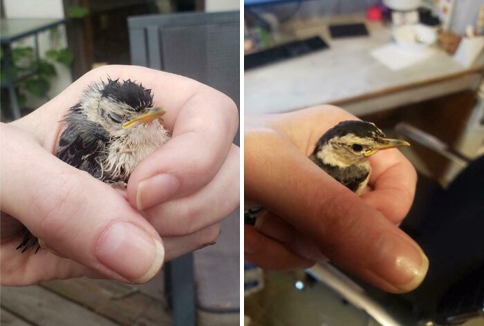 90 Mildly Interesting Before-And-After Photos That Show Just How Much Things Can Change