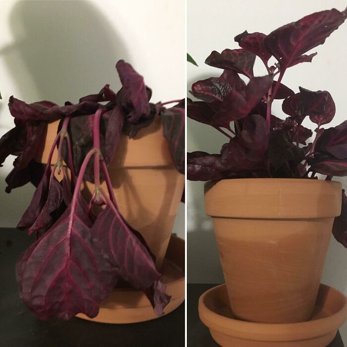 90 Mildly Interesting Before-And-After Photos That Show Just How Much Things Can Change