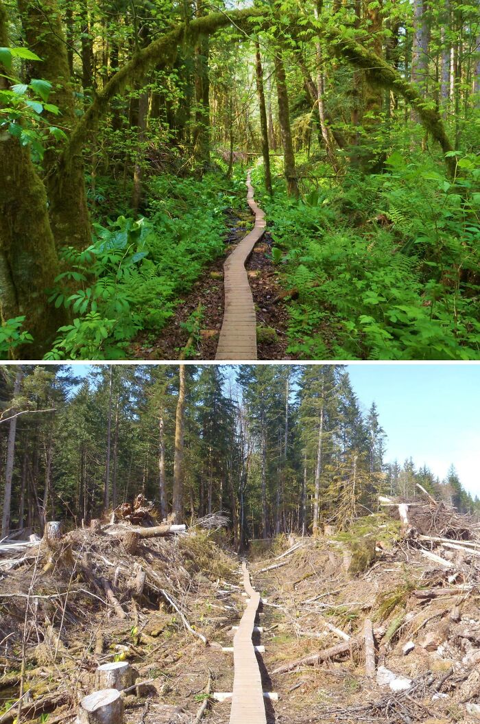 90 Mildly Interesting Before-And-After Photos That Show Just How Much Things Can Change