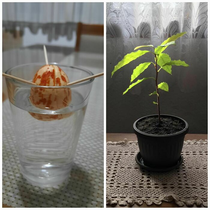 90 Mildly Interesting Before-And-After Photos That Show Just How Much Things Can Change