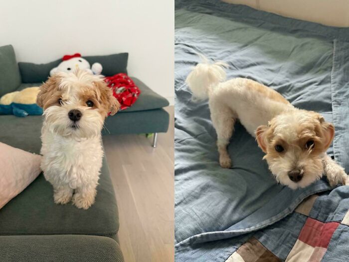 90 Mildly Interesting Before-And-After Photos That Show Just How Much Things Can Change