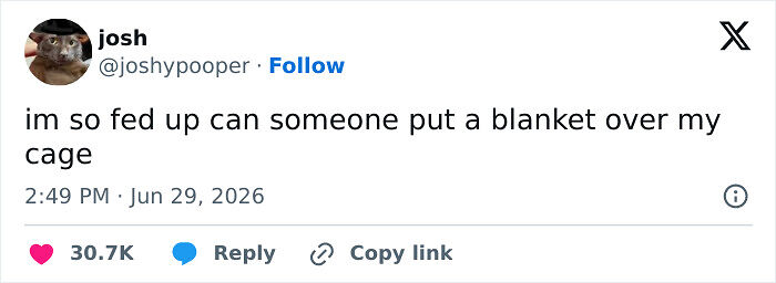 These 79 People Were Considerably Funnier Than Anyone Else On Twitter During June