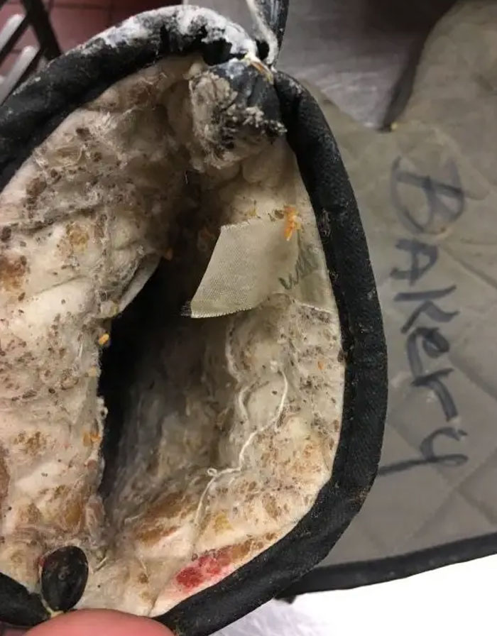 80 Awful Coworkers Who Must Be Getting A Bonus For Annoying Everyone