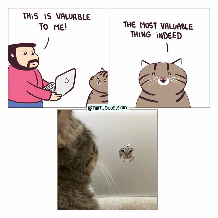 This Artist Turns Viral Animal Photos Into Hilarious Comics, And Here Are The 70 Best Ones This Artist Turns Viral Animal Photos Into Hilarious Comics, And Here Are The 70 Best Ones