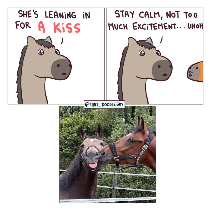This Artist Turns Viral Animal Photos Into Hilarious Comics, And Here Are The 70 Best Ones This Artist Turns Viral Animal Photos Into Hilarious Comics, And Here Are The 70 Best Ones
