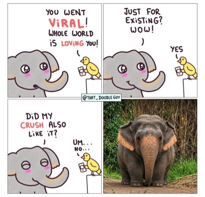 This Artist Turns Viral Animal Photos Into Hilarious Comics, And Here Are The 70 Best Ones This Artist Turns Viral Animal Photos Into Hilarious Comics, And Here Are The 70 Best Ones