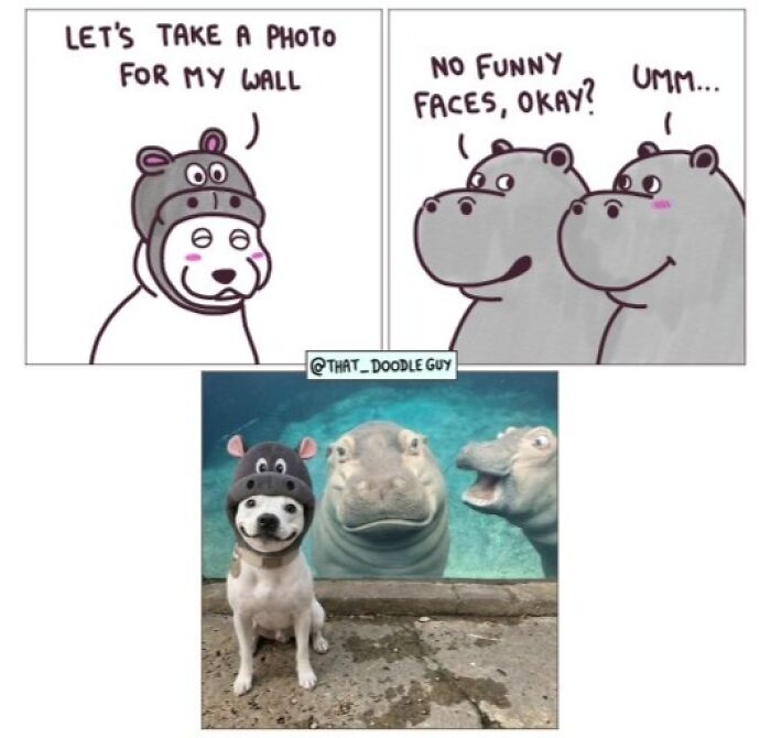 This Artist Turns Viral Animal Photos Into Hilarious Comics, And Here Are The 70 Best Ones This Artist Turns Viral Animal Photos Into Hilarious Comics, And Here Are The 70 Best Ones