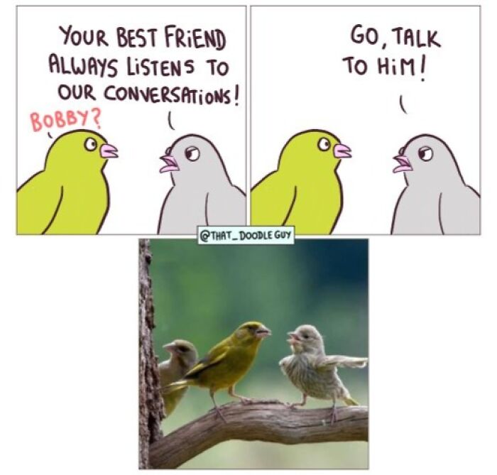 This Artist Turns Viral Animal Photos Into Hilarious Comics, And Here Are The 70 Best Ones This Artist Turns Viral Animal Photos Into Hilarious Comics, And Here Are The 70 Best Ones