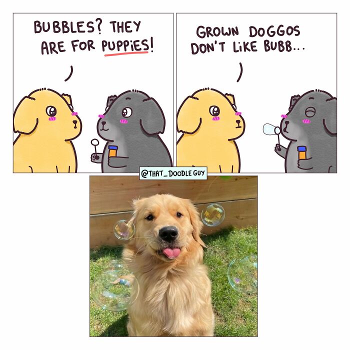 This Artist Turns Viral Animal Photos Into Hilarious Comics, And Here Are The 70 Best Ones This Artist Turns Viral Animal Photos Into Hilarious Comics, And Here Are The 70 Best Ones