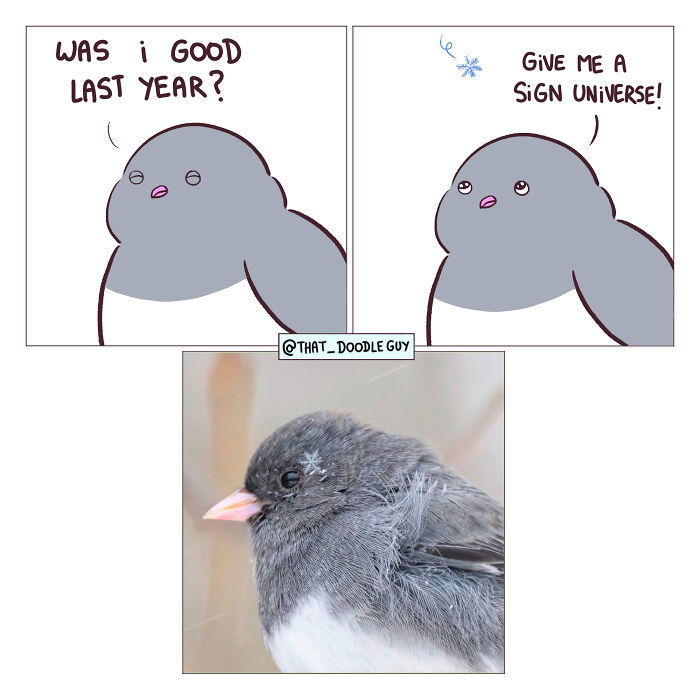 This Artist Turns Viral Animal Photos Into Hilarious Comics, And Here Are The 70 Best Ones This Artist Turns Viral Animal Photos Into Hilarious Comics, And Here Are The 70 Best Ones