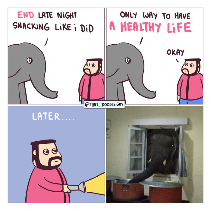 This Artist Turns Viral Animal Photos Into Hilarious Comics, And Here Are The 70 Best Ones This Artist Turns Viral Animal Photos Into Hilarious Comics, And Here Are The 70 Best Ones