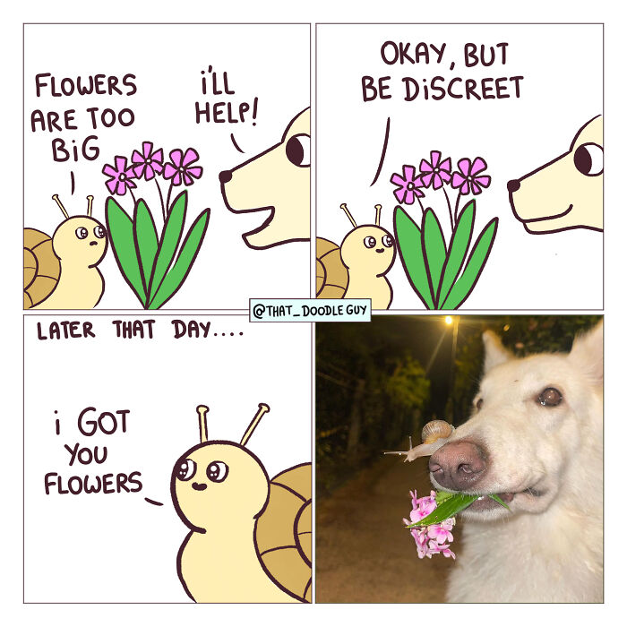This Artist Turns Viral Animal Photos Into Hilarious Comics, And Here Are The 70 Best Ones This Artist Turns Viral Animal Photos Into Hilarious Comics, And Here Are The 70 Best Ones