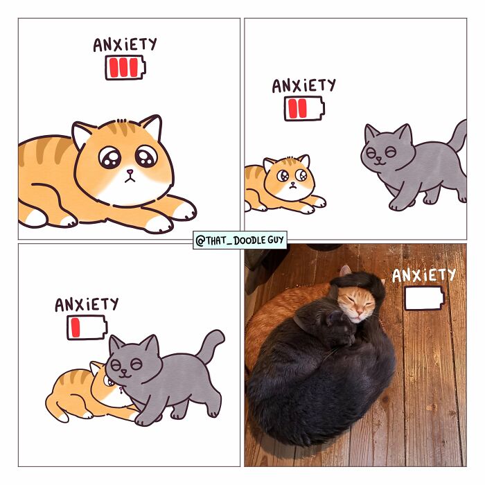 This Artist Turns Viral Animal Photos Into Hilarious Comics, And Here Are The 70 Best Ones This Artist Turns Viral Animal Photos Into Hilarious Comics, And Here Are The 70 Best Ones