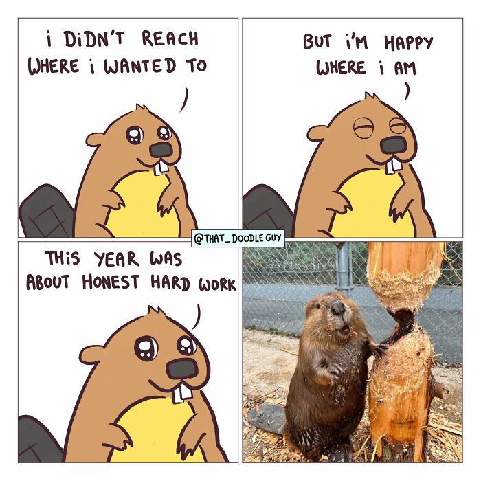 This Artist Turns Viral Animal Photos Into Hilarious Comics, And Here Are The 70 Best Ones This Artist Turns Viral Animal Photos Into Hilarious Comics, And Here Are The 70 Best Ones